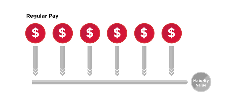 Illustration for Regular Premium by REPs Invest