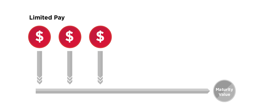 Limited Pay (LP) or Single Premium (SP) Illustration by REPs Invest