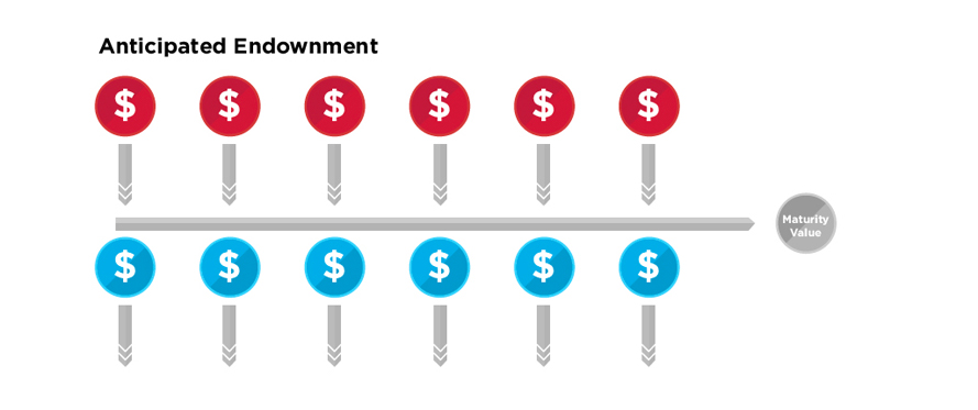 Anticipated(With Cashbacks) (AE) Illustration by REPs Invest